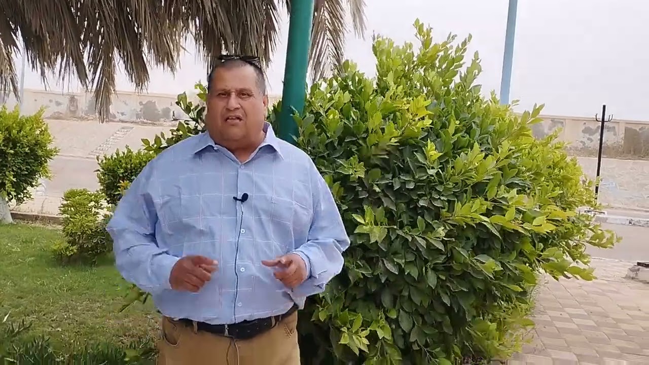 مكافحة آفات الزيتون والتين في أول شهر يونيو