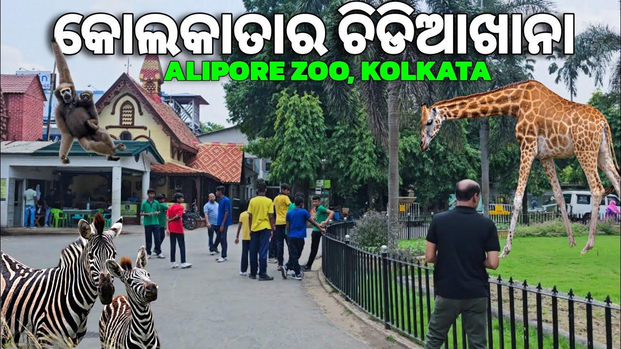 କୋଲକାତାର ଅଲିପୁର ଚିଡିଆଖାନା | Alipore Zoo Kolkata | #odiavlog #kolkata #gouttam