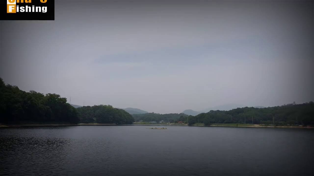 차이조구와 낚시함께해요