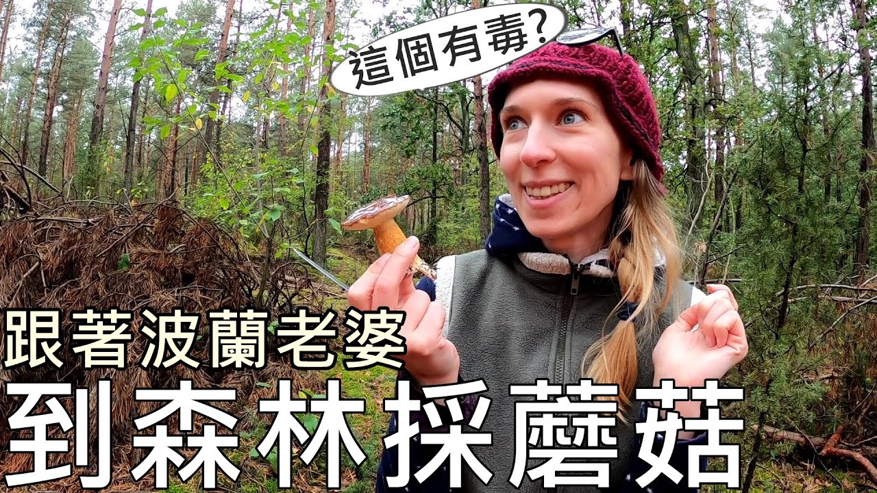 【台灣男和波蘭老婆🌟】一起去波蘭森林撿蘑菇
