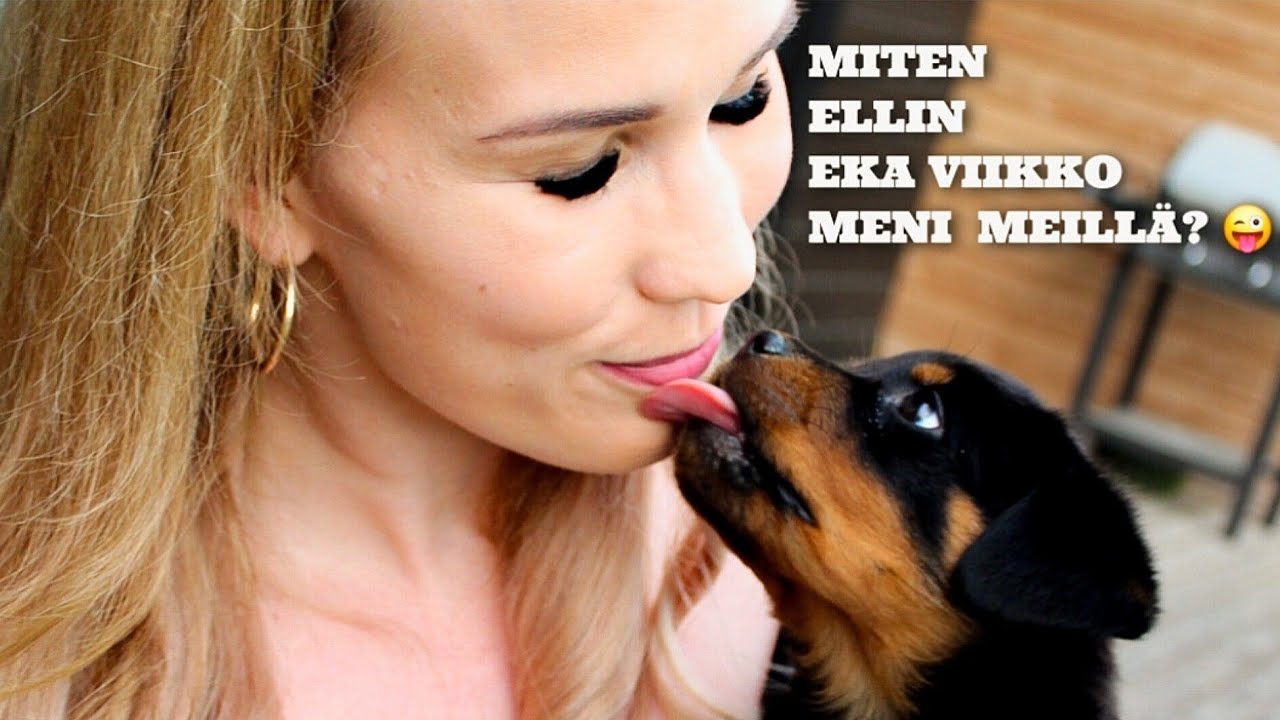 ROTTWEILER ELLI 7VK- VARHAISROKOTUS JA EKA VIIKKO YHDESSÄ 🐶