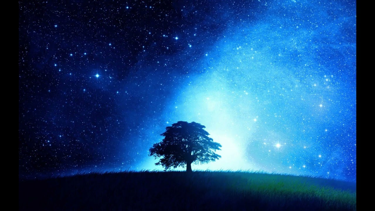 輕鬆和諧音樂之旅Relaxing Harmonious Music Journey#mindfulrelaxation  #musicexploration #healingmusic