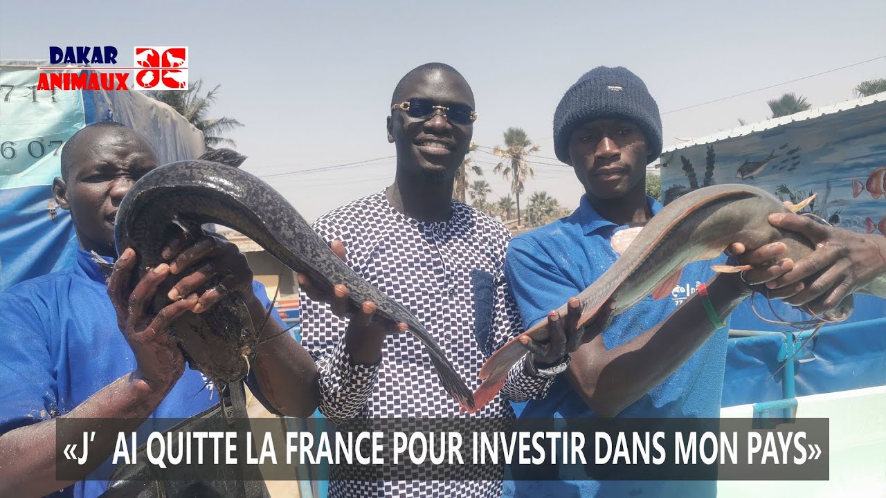 Pisciculture: cet ancien immigré crée sa ferme et produit 1 million de poissons par an