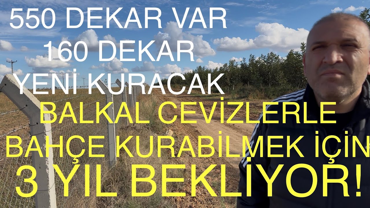 BALKAL İÇİN 3 yıl BEKLİYOR. Yeni çeşitle bahçe kurmak için 3 yıl bekliyor! Ceviz Adam Ahmet 