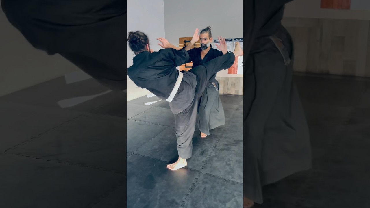Aikido techniques against Kicks 🙏