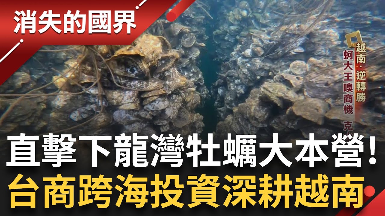 「牡蠣」越南重要經濟命脈！直擊下龍灣養殖大本營 台商深耕28年 搶攻全球「綠色供應鏈」前進韓捕鯨重鎮「蔚山」！建觀光文化村重現捕鯨盛況｜李文儀主持｜【消失的國界PART1】20250302｜三立新聞台