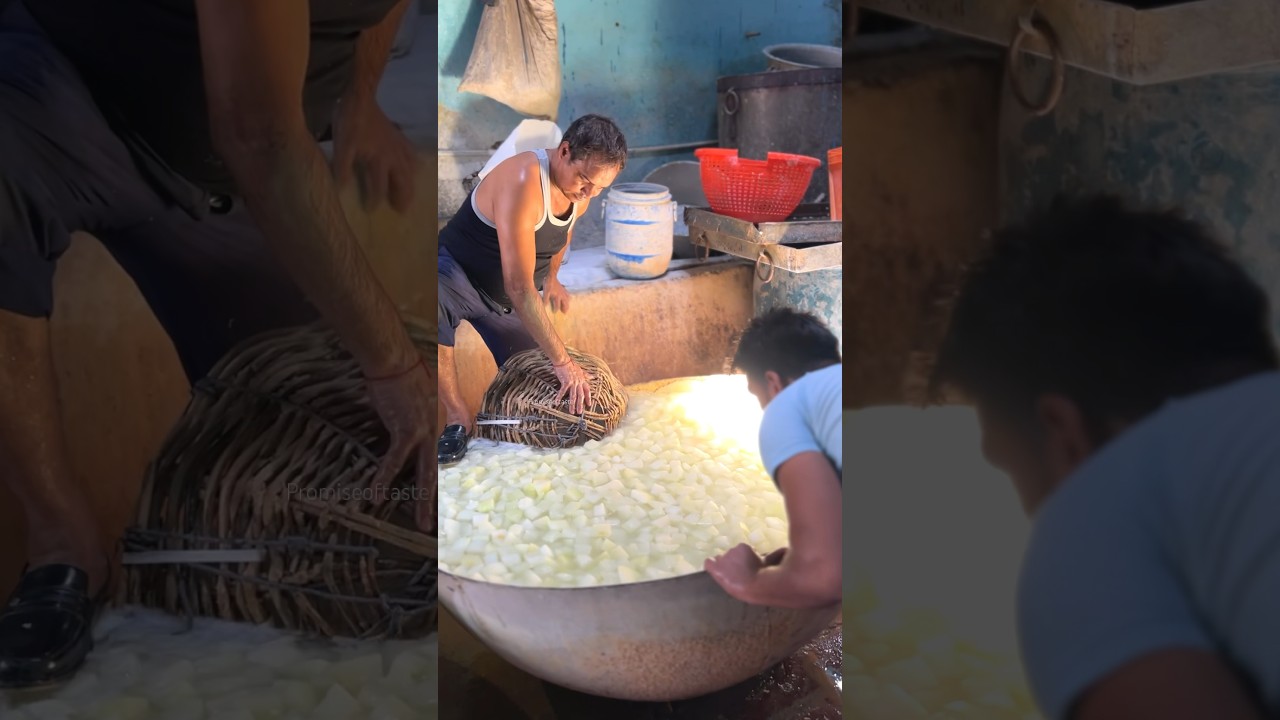 Petha Making😍 #streetfood #viral #agra #explore #indianstreetfood #shortvideo #shorts #petha
