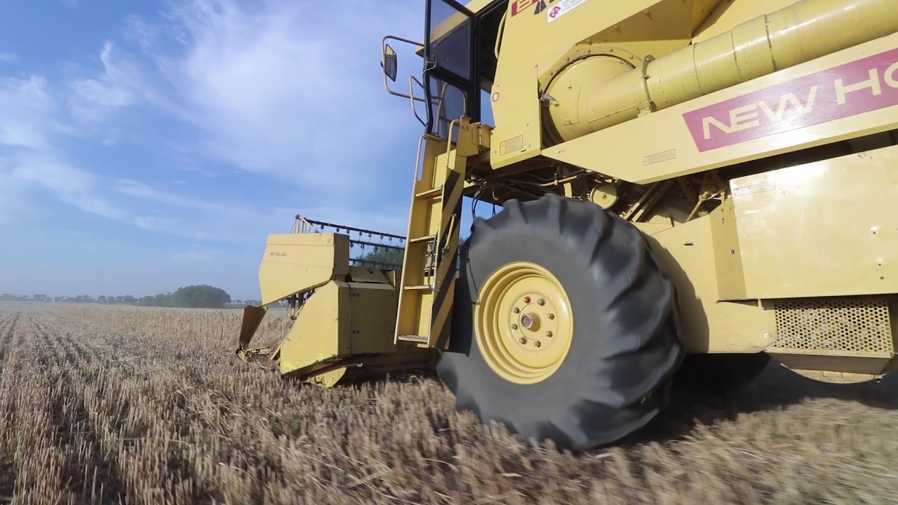 Aratás (Harvest) 2017 - New Holland 8060, MTZ 1021, MTZ 1025.3