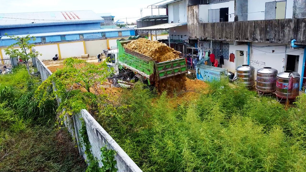 1Day completed half project delete forest in wall to develop land by power bulldozer with dump truck