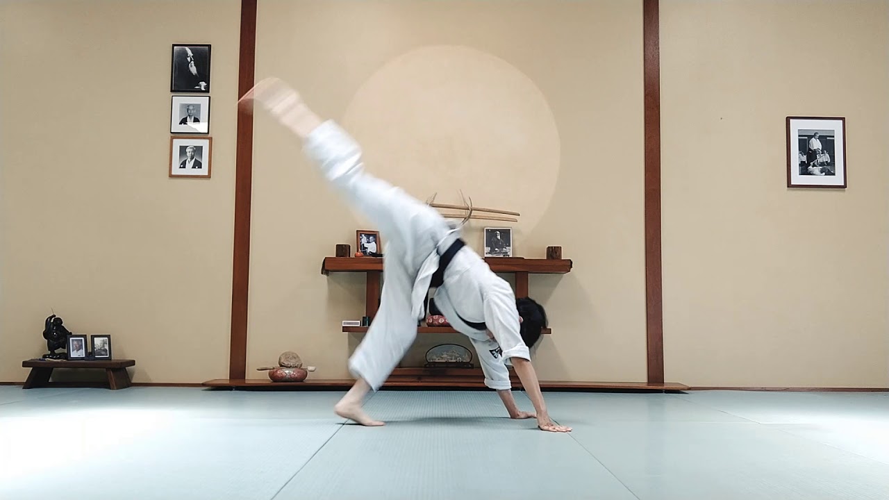 Aikido at Home - Online Lesson 9