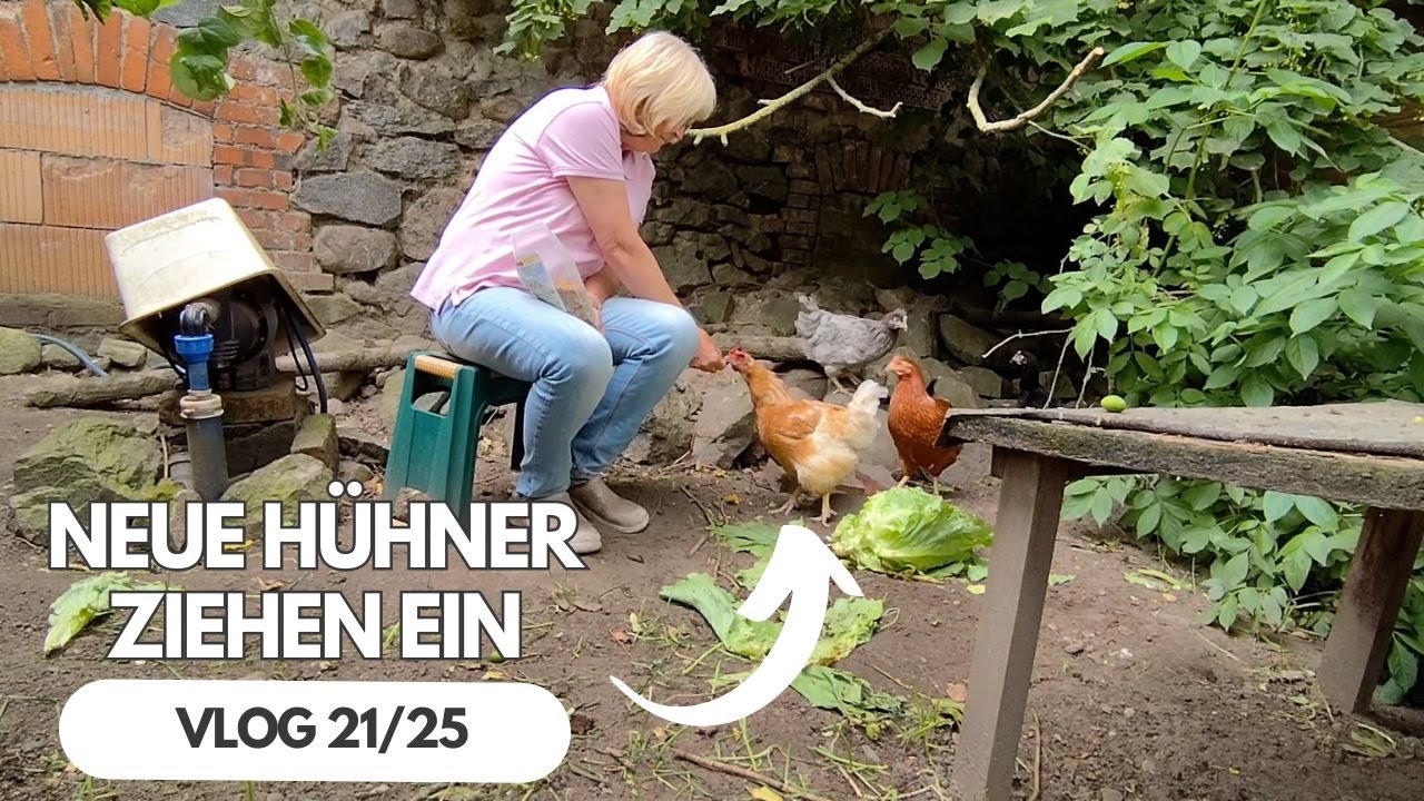 Unsere neuen Hühner sind endlich da! ♥ Upgrade vom Hühnerstall