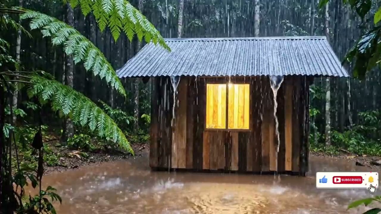Deep Sleep Rain ASMR | Heavy Rain Sounds for Long, Quiet Nights