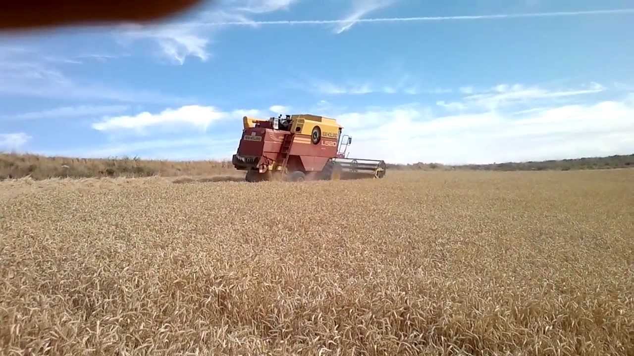 new holland l520 mcs.mp4