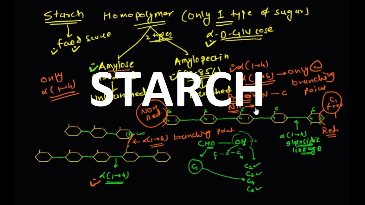 17. STARCH (Polysaccharide)