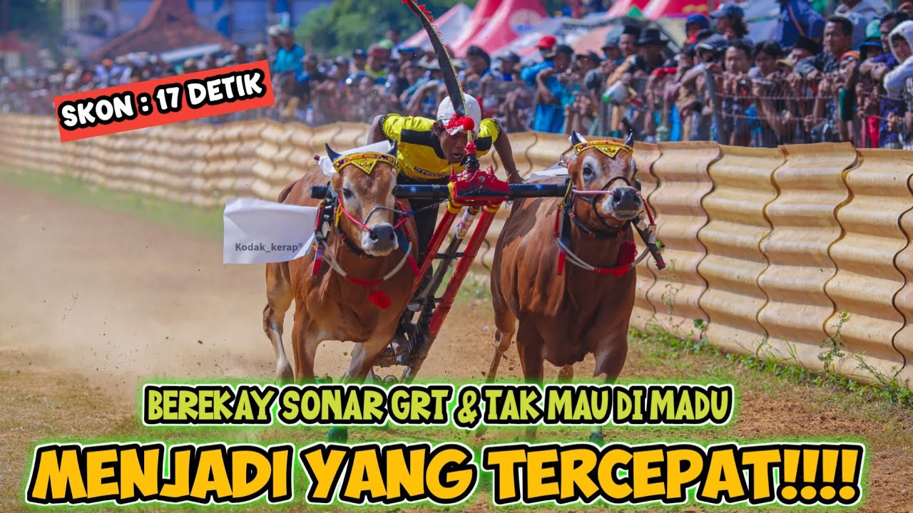 Full Lengkap‼️Aksi Individu/Skon 48 Peserta Perang Bintang HUT DRT KAPOLRES CUP SUMENEP 2025