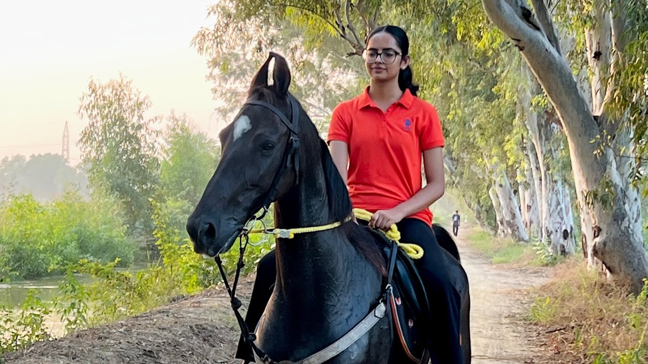 Riding along with a shoot✨#komalstudfarm