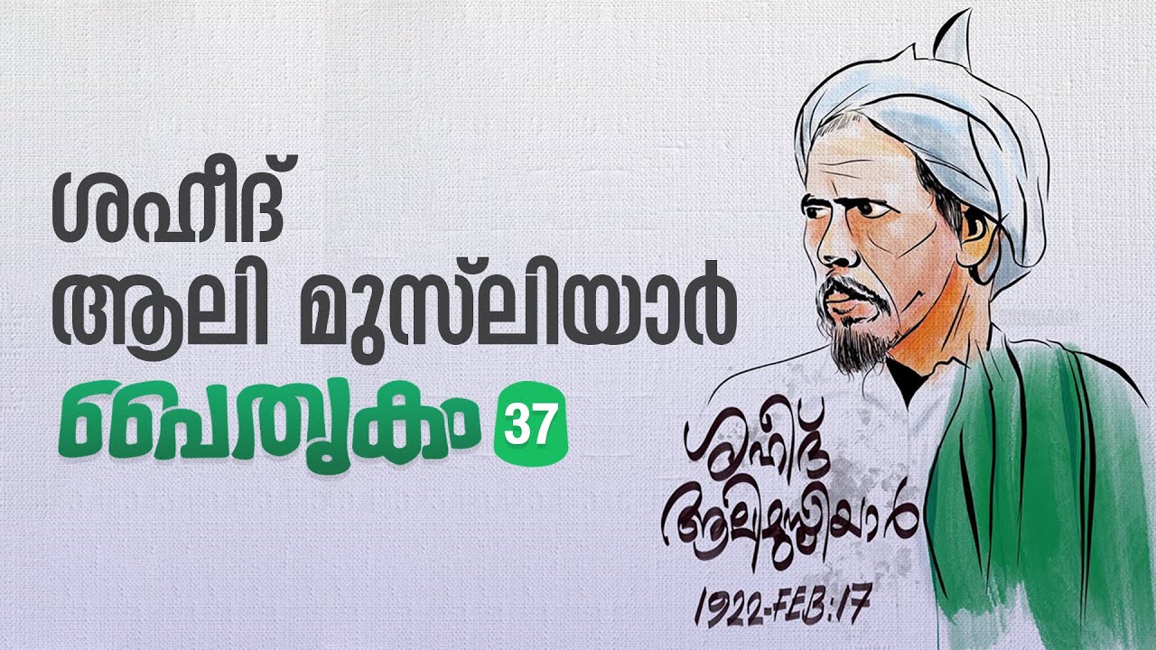 Paithrikam 37 |  Nellikkuth Ali Musliyar | നെല്ലിക്കുത്ത് ആലി മുസ്‌ലിയാർ | M.T. Shihabudheen Saquafi