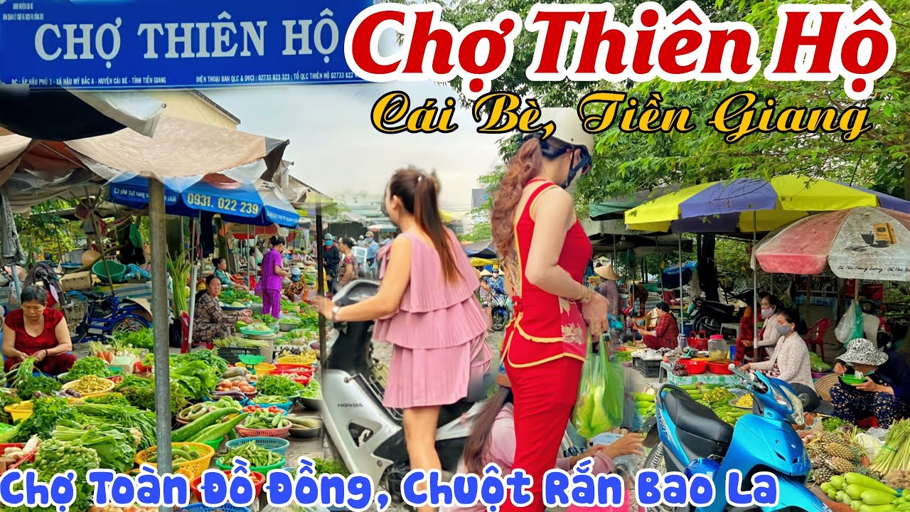 Về Cái Bè Đi CHỢ THIÊN HỘ - Bà Con Bán Toàn Đồ Đồng, Tươi Ngon Bắt Mắt, CHUỘT RẮN BAO LA | KPVL
