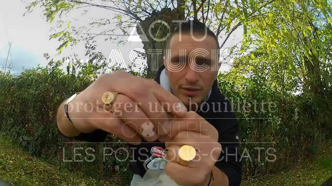 Comment protéger une bouillette contre les poisson-chats...