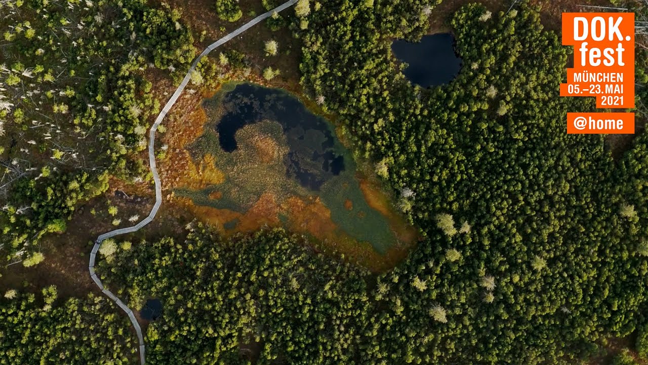 DER WILDE WALD | Trailer | 2021 @home