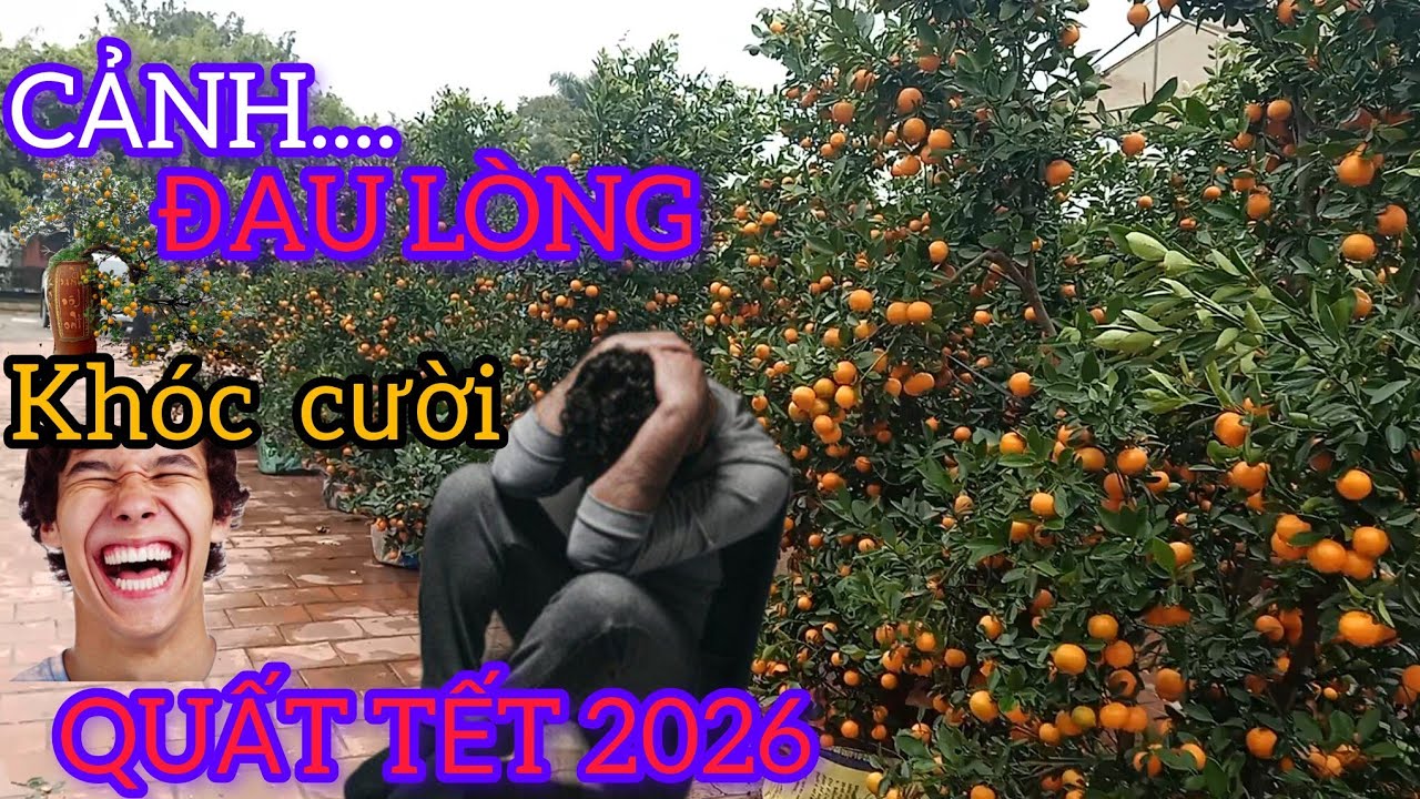 CẢNH ĐAU LÒNG KHÓC CƯỜI CHỢ QUẤT TẾT VĂN GIANG 2026 VẴNG TANH NGƯỜI 