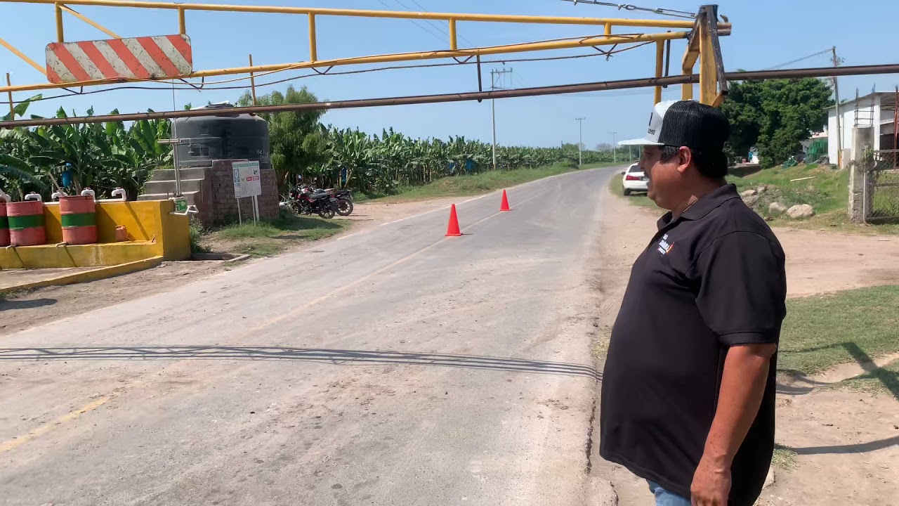 Este sistema de cosecha d e plátano no lo conocía le llaman cable via puro tecoman colima