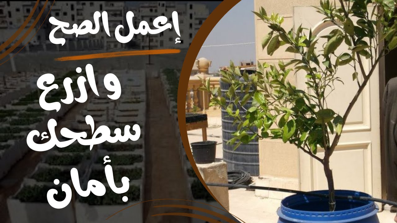 صرف البرميل () خطوة بسيطة وسهلة لزراعة الأسطح 🪴