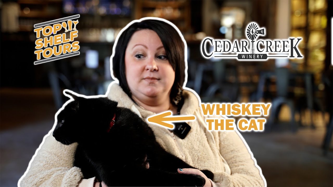 Winery Tour With Top Shelf Tours To Cedar Creek Winery And Brewing Co. Martinsville Indiana