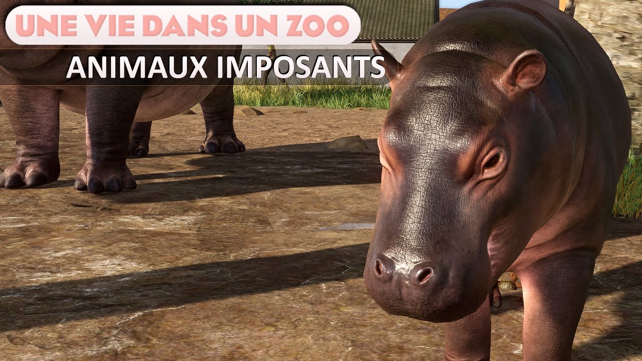 Les incroyables hippopotames du PARC ZOOLOGIQUE | Épisode 35 | PLANET ZOO | Franchise