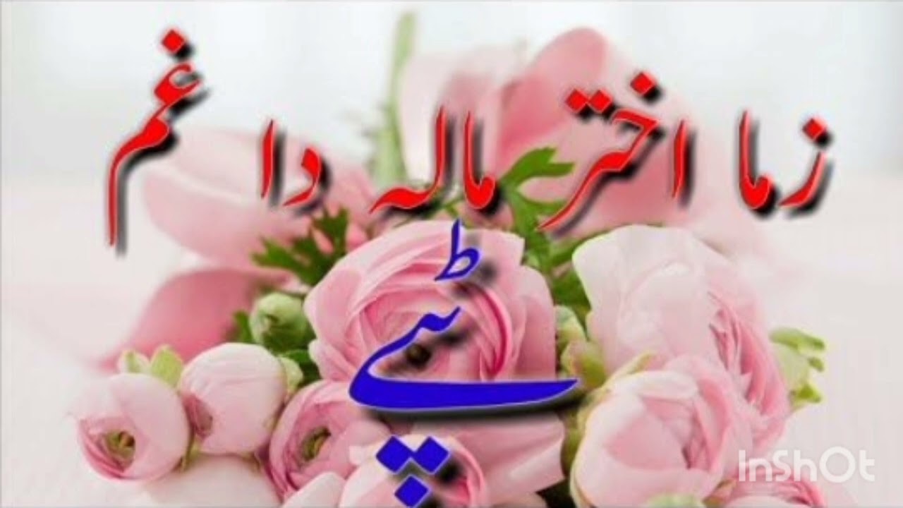 Best pashto song 2026