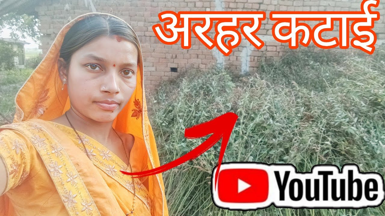 Arhar ki katai shuru! 🌾 Itni mehnat ke baad phal mila 😍