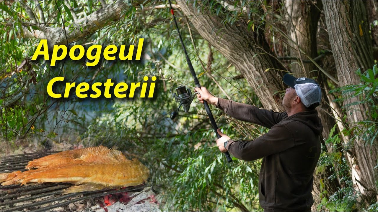 LA DUNARE IN APOGEU DE CRESTERE A APELOR
