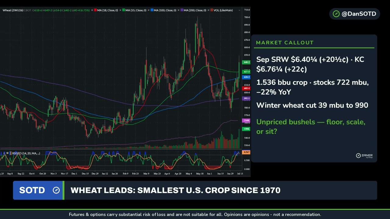 Smallest Wheat Crop Since 1970, Corn Stocks Cut: The July WASDE & Your Sales Plan
