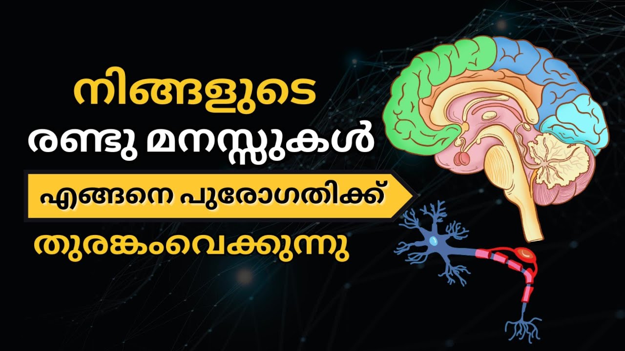 നിങ്ങളുടെ രണ്ടു മനസ്സുകൾ എങ്ങനെ പുരോഗതിക്കു തുരങ്കംവെക്കുന്നു | Why does your two brain pull back?