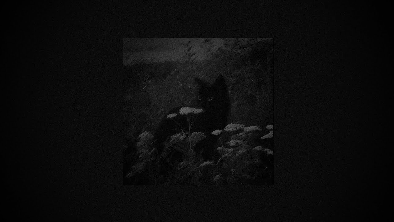 𝘙𝘰𝘤𝘤𝘪 - 𝘊𝘩𝘢𝘮𝘱𝘢𝘨𝘯𝘦 𝘚𝘸𝘪𝘯𝘨 (𝘚𝘭𝘰𝘸𝘦𝘥 & 𝘙𝘦𝘷𝘦𝘳𝘣)
