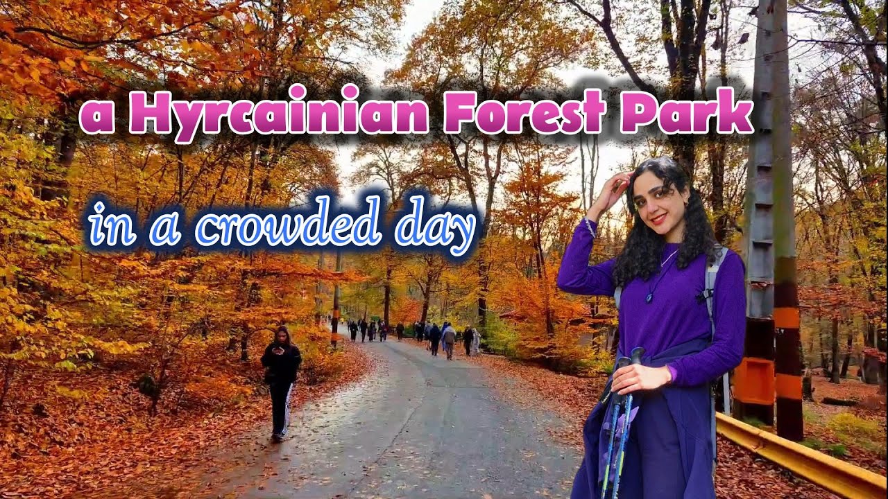 Autumn Walk in Alangdareh Forest Park 🍁 Fresh Air After Rain