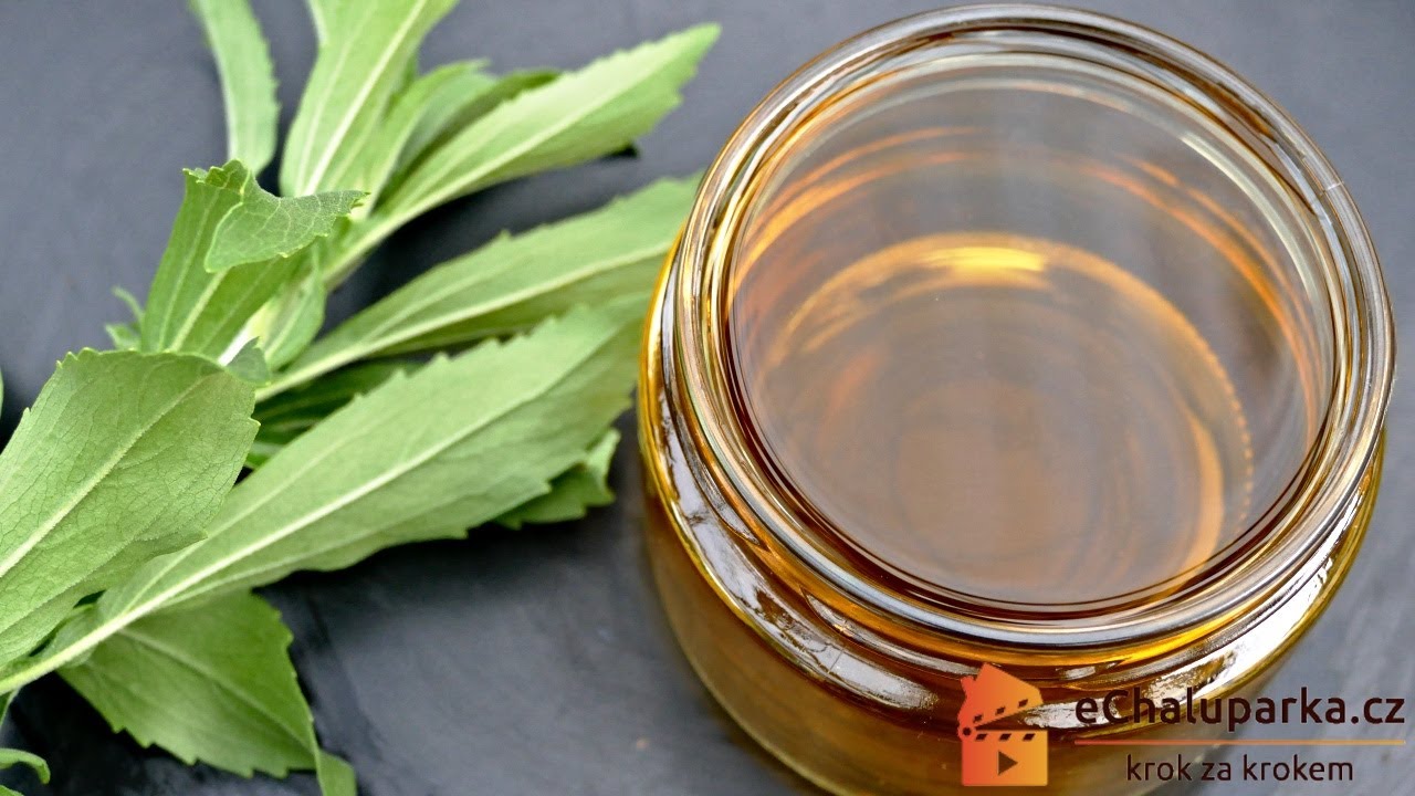 Jak pěstovat stévii sladkou. Stevia rebaudiana