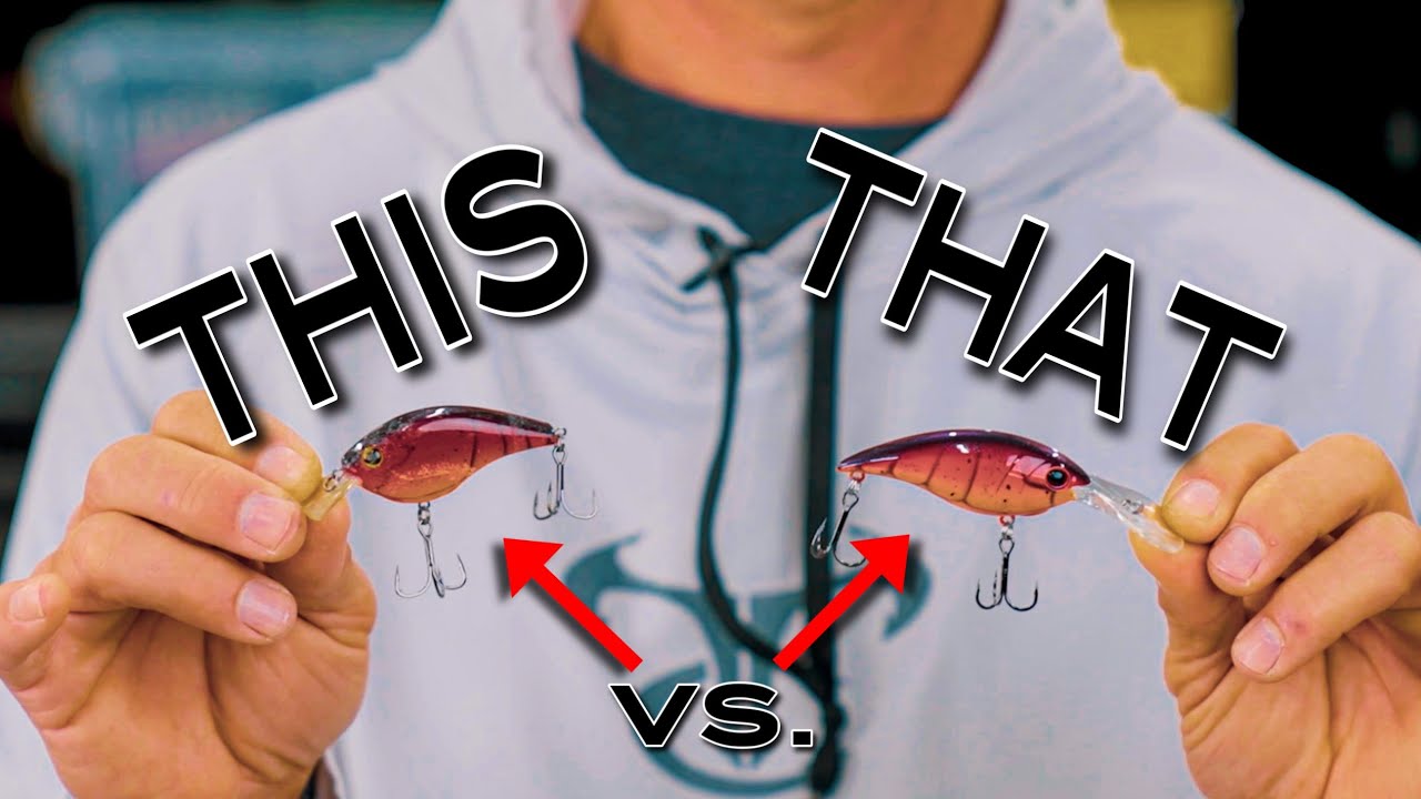 When and Where: Money Badger or The Frittside?