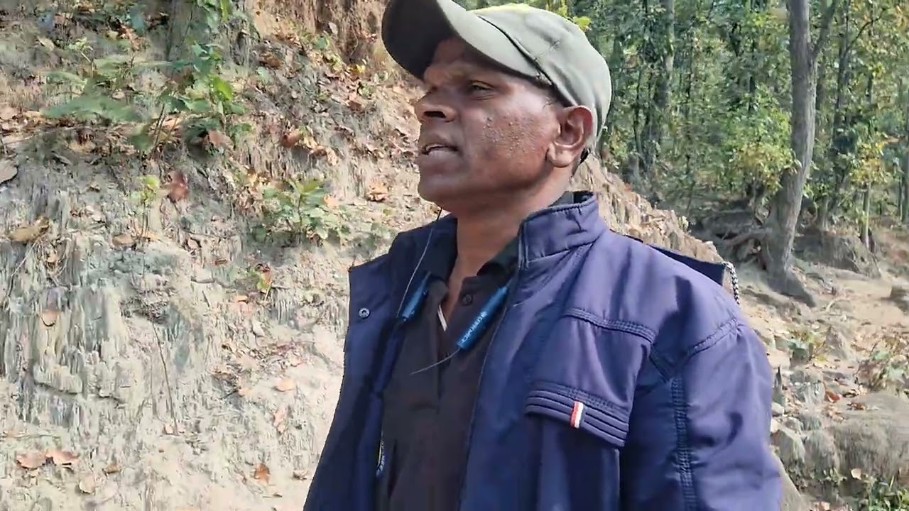 जहां पानी वहां हरियाली...दुर्लभ प्रकृति निहार चैनल...