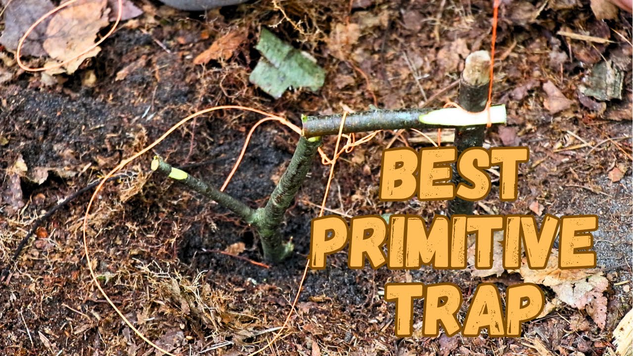 BEST Survival Primitive Trap! | Simple Snare Trap