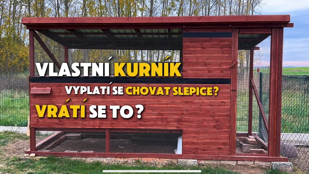 🐔 Vyplatí se postavit si vlastní kurník? Návratnost, cena, ukázka kurníku, výběh + moje zkušenosti 🐓