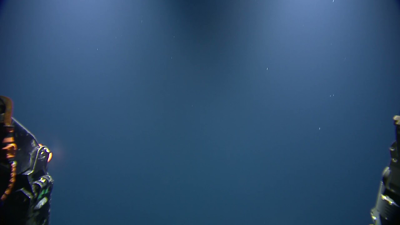 ROV Hercules Dive NA134 H1894 2 of 13 2021 11 29 10 27 00 929 UTC 217