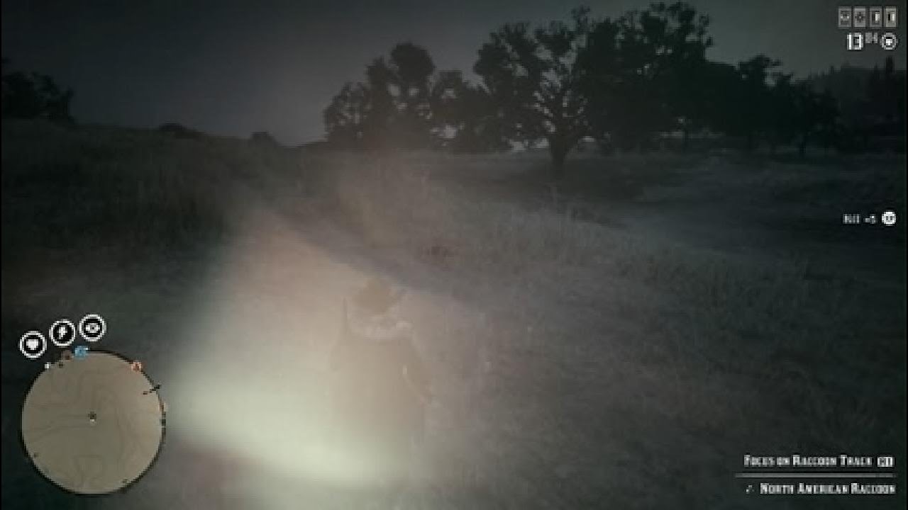 Red Dead Redemption 2_20260120004042