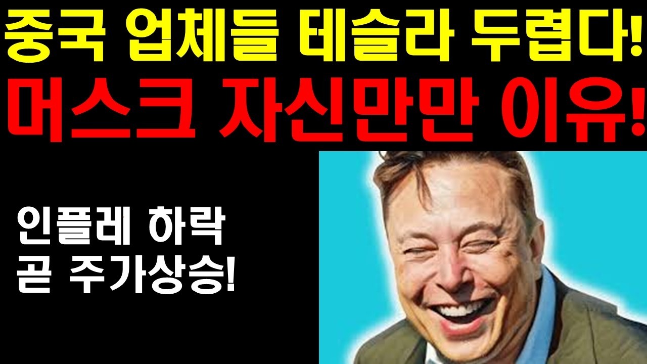 중국 업체들 테슬라가 두려운 이유! 이길수 없는 상대와 싸워야 한다! 테슬라는 미친기업이다! 엔비디아 결국 200불 돌파한다! 미국주식 언제부터 상승하나?