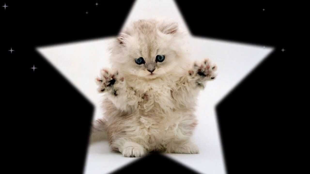Roxwel 