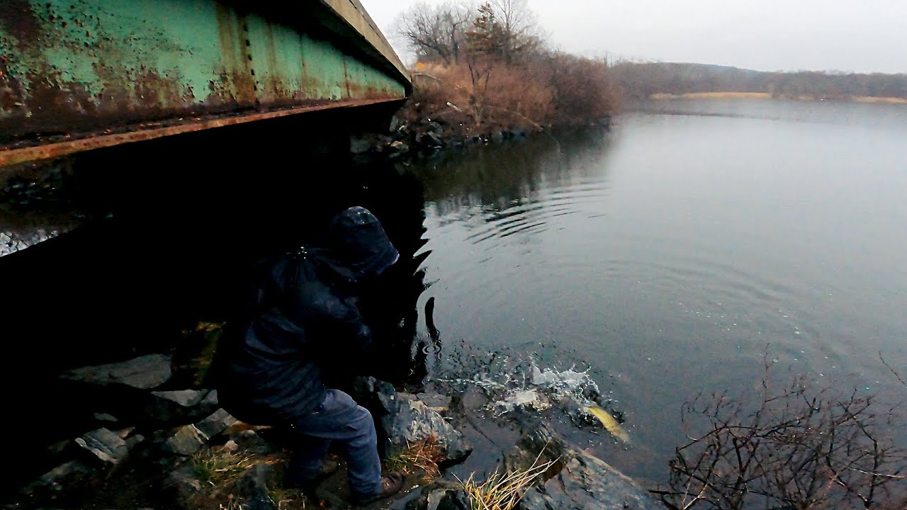 Big NYC Reservoir Winter Bridge Fishing for Decent Bass & Fat Pickerel