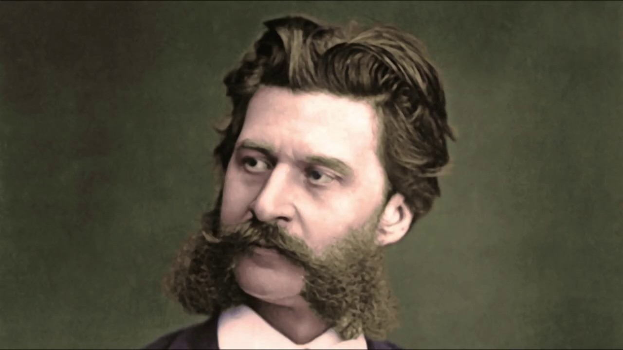 JOHANN STRAUSS  - WALTZ KING a biography by Verein Johann Strauss