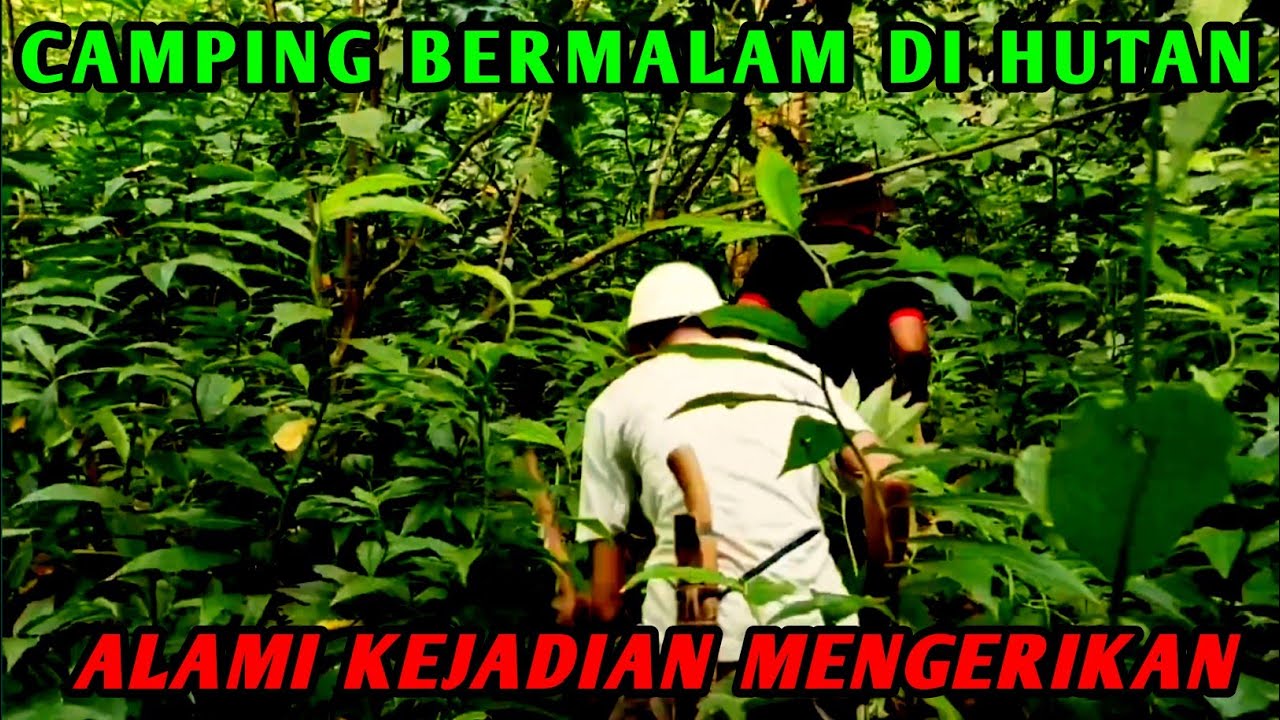 KEJADIAN MENGERIKAN SAAT BERMALAM DI HUTAN.. 