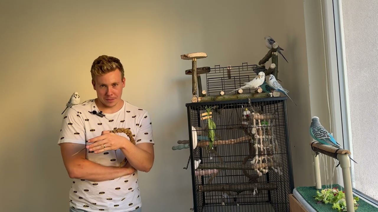 Jak přežít ptačí pubertu?