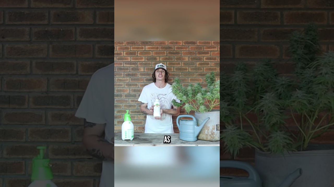 How to use JADAM Wetting Agent!